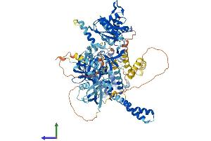 Protein Structure (PS) image for Calcium/calmodulin-Dependent serine Protein Kinase (MAGUK Family) (CASK) (AA 1-926) protein (His tag) (ABIN7553574)
