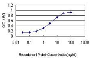 Detection limit for recombinant GST tagged SREBF1 is approximately 0. (SREBF1 antibody  (AA 801-900))