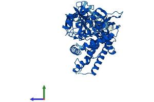AlphaFold protein structure predicition of Human Recombinant CYP2J2 Protein, UniprotID P51589 (CYP2J2 Protein (AA 1-502) (His tag))