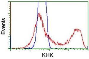 HEK293T cells transfected with either RC202424 overexpress plasmid (Red) or empty vector control plasmid (Blue) were immunostained by anti-KHK antibody (ABIN2453195), and then analyzed by flow cytometry. (Ketohexokinase antibody)