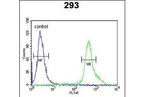 TP73 Antibody (Center) (ABIN652829 and ABIN2842541) flow cytometric analysis of 293 cells (right histogram) compared to a negative control cell (left histogram). (Tumor Protein p73 antibody  (AA 288-317))