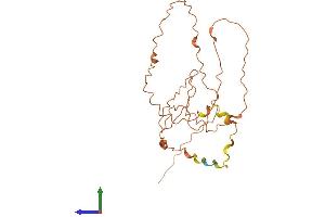 AlphaFold protein structure predicition of Human Recombinant KIRREL3-AS3 Protein, UniprotID Q8N7Y1 (KIRREL3-AS3 Protein (AA 1-241) (His tag))