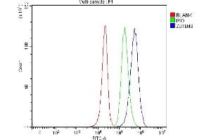 Flow Cytometry analysis of 293T cells using anti-ZBTB48 antibody (ABIN7600854). (ZBTB48 antibody  (AA 24-664))