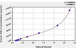 Typical Standard Curve (NINJ1 ELISA Kit)