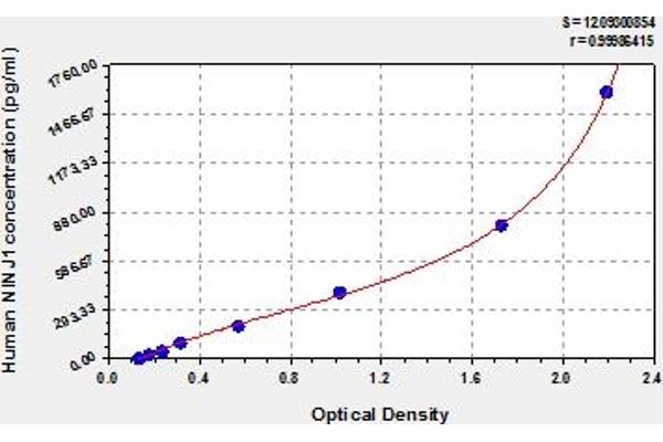 NINJ1 ELISA Kit