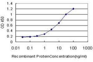 Detection limit for recombinant GST tagged ALDH2 is approximately 0. (ALDH2 antibody  (AA 408-517))