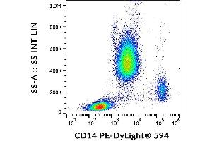 Surface staining of human peripheral blood cells with anti-human CD14 (MEM-15) PE-DyLight® 594. (CD14 antibody  (PE-DyLight 594))