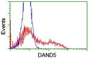 Image no. 2 for anti-DAN Domain Family, Member 5 (DAND5) (AA 23-189) antibody (ABIN1491236) (DAND5 antibody  (AA 23-189))