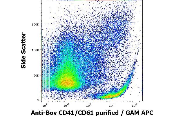 CD41, CD61 antibody
