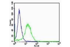 NIH/3T3 cells probed with Rabbit Anti-RAGE Polyclonal Antibody  Alexa Fluor 488 Conjugated Secondary Antibody. (RAGE antibody  (AA 151-250))