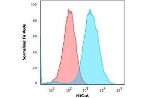 Flow Cytometric Analysis of MCF-7 cells using CD47 Mouse Monoclonal Antibody (IAP/3019) followed by goat anti-Mouse IgG-CF488 (Blue); Isotype control (Red).