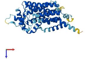 AlphaFold protein structure predicition of Human Recombinant G6PC2 Protein, UniprotID Q9NQR9 (G6PC2 Protein (AA 1-355) (His tag))