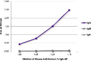 ELISA plate was coated with purified human IgG, IgM, and IgA. (Mouse anti-Human IgG (Fc Region) Antibody (Alkaline Phosphatase (AP)))