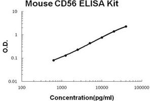 Mouse CD56/NCAM1 PicoKine ELISA Kit standard curve (CD56 ELISA Kit)