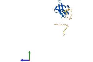 AlphaFold protein structure predicition of Human Recombinant HSPB7 Protein, UniprotID Q9UBY9