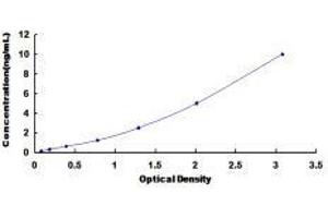 Keratin 20 (KRT20) ELISA Kit