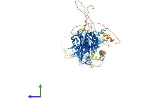 AlphaFold protein structure predicition of Human Recombinant USP44 Protein, UniprotID Q9H0E7 (USP44 Protein (AA 1-712) (His tag))
