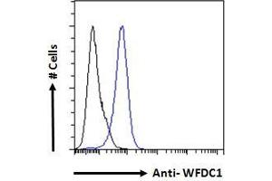 ABIN190885 Flow cytometric analysis of paraformaldehyde fixed A431 cells (blue line), permeabilized with 0. (WFDC1 antibody  (C-Term))