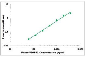 Representative Standard Curve (VEGFR2/CD309 ELISA Kit)