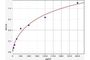 GDF7 ELISA Kit