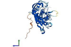 AlphaFold protein structure predicition of Human Recombinant PUSL1 Protein, UniprotID Q8N0Z8 (PUSL1 Protein (AA 1-303) (His tag))