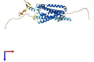 AlphaFold protein structure predicition of Human Recombinant MLNR Protein, UniprotID O43193 (Motilin Receptor Protein (MLNR) (AA 1-412) (His tag))