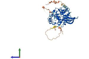 Protein Structure (PS) image for SH3-Binding Domain Kinase 1 (SBK1) (AA 1-417) protein (His tag) (ABIN7559603)