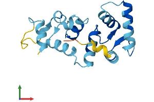 AlphaFold protein structure predicition of Mouse Recombinant Cib3 Protein, UniprotID Q0P523 (CIB3 Protein (AA 1-160) (His tag))
