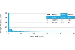 Analysis of Protein Array containing >19,000 full-length human proteins using Chromogranin A Recombinant Mouse Monoclonal Antibody (rCHGA/413) Z- and S- Score: The Z-score represents the strength of a signal that a monoclonal antibody (Monoclonal Antibody) (in combination with a fluorescently-tagged anti-IgG secondary antibody) produces when binding to a particular protein on the HuProtTM array. (Recombinant Chromogranin A antibody)