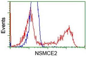HEK293T cells transfected with either RC207639 overexpress plasmid (Red) or empty vector control plasmid (Blue) were immunostained by anti-NSMCE2 antibody (ABIN2453381), and then analyzed by flow cytometry. (NSMCE2 antibody)