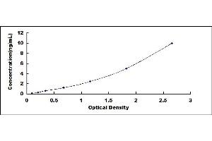 Typical standard curve (TPP1 ELISA Kit)