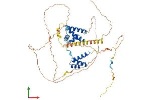 AlphaFold protein structure predicition of Human Recombinant POU3F1 Protein, UniprotID Q03052 (POU3F1 Protein (AA 1-451) (His tag))