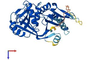 AlphaFold protein structure predicition of Human Recombinant GLYATL2 Protein, UniprotID Q8WU03 (GLYATL2 Protein (AA 1-294) (His tag))