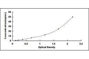 Typical standard curve (TLR5 ELISA Kit)