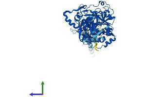 AlphaFold protein structure predicition of Mouse Recombinant Galnt13 Protein, UniprotID Q8CF93