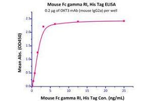 Immobilized OKT3 mAb (mouse IgG2a) at 2 μg/mL (100 μl/well) can bind Mouse Fc gamma RI, His Tag (Cat# CD4-M5227) with a linear range of 0. (FCGR1A Protein (AA 25-297) (His tag))