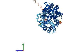 AlphaFold protein structure predicition of Mouse Recombinant Slc2a7 Protein, UniprotID P0C6A1