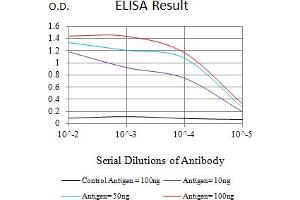 Black line: Control Antigen (100 ng),Purple line: Antigen (10 ng), Blue line: Antigen (50 ng), Red line:Antigen (100 ng) (SETD8 antibody  (AA 109-272))