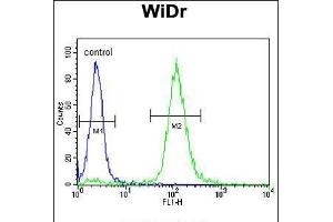 Flow cytometric analysis of WiDr cells (right histogram) compared to a negative control cell (left histogram). (TRKA antibody)