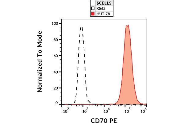 CD70 抗体  (PE)