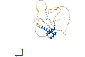 AlphaFold protein structure predicition of Human Recombinant HOXA6 Protein, UniprotID P31267 (HOXA6 Protein (AA 1-233) (His tag))