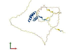 AlphaFold protein structure predicition of Mouse Recombinant Dlx1 Protein, UniprotID Q64317 (DLX1 Protein (AA 1-255) (His tag))