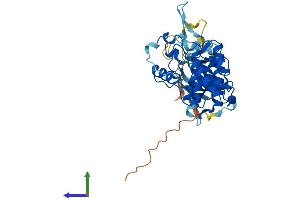 AlphaFold protein structure predicition of Human Recombinant CDK10 Protein, UniprotID Q15131 (CDK10 Protein (AA 1-360) (His tag))
