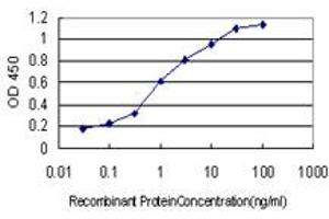 Detection limit for recombinant GST tagged HPCAL4 is approximately 0. (HPCAL4 antibody  (AA 1-191))