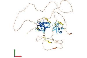 AlphaFold protein structure predicition of Mouse Recombinant Shc4 Protein, UniprotID Q6S5L9 (SHC4 Protein (AA 1-626) (His tag))