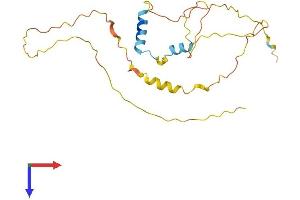 AlphaFold protein structure predicition of Human Recombinant SPATA25 Protein, UniprotID Q9BR10 (SPATA25 Protein (AA 1-227) (His tag))