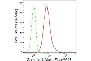 Flow cytometric analysis of Galectin 1 expression in C2C12 cells using Galectin 1 antibody (ABIN7799243), 1:2,000). (Recombinant LGALS1/Galectin 1 antibody)