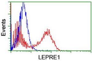 Image no. 3 for anti-Leucine Proline-Enriched Proteoglycan (Leprecan) 1 (LEPRE1) antibody (ABIN1499129) (LEPRE1 antibody)