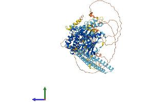 AlphaFold protein structure predicition of Human Recombinant PKN2 Protein, UniprotID Q16513