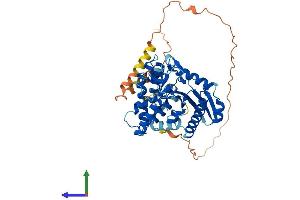 Protein Structure (PS) image for Smith-Magenis Syndrome Chromosome Region, Candidate 7 (SMCR7) (AA 1-454) protein (His tag) (ABIN7549435)
